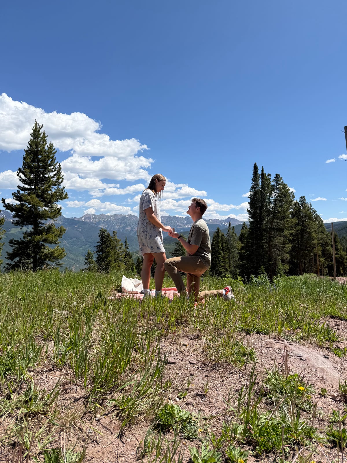 The proposal
