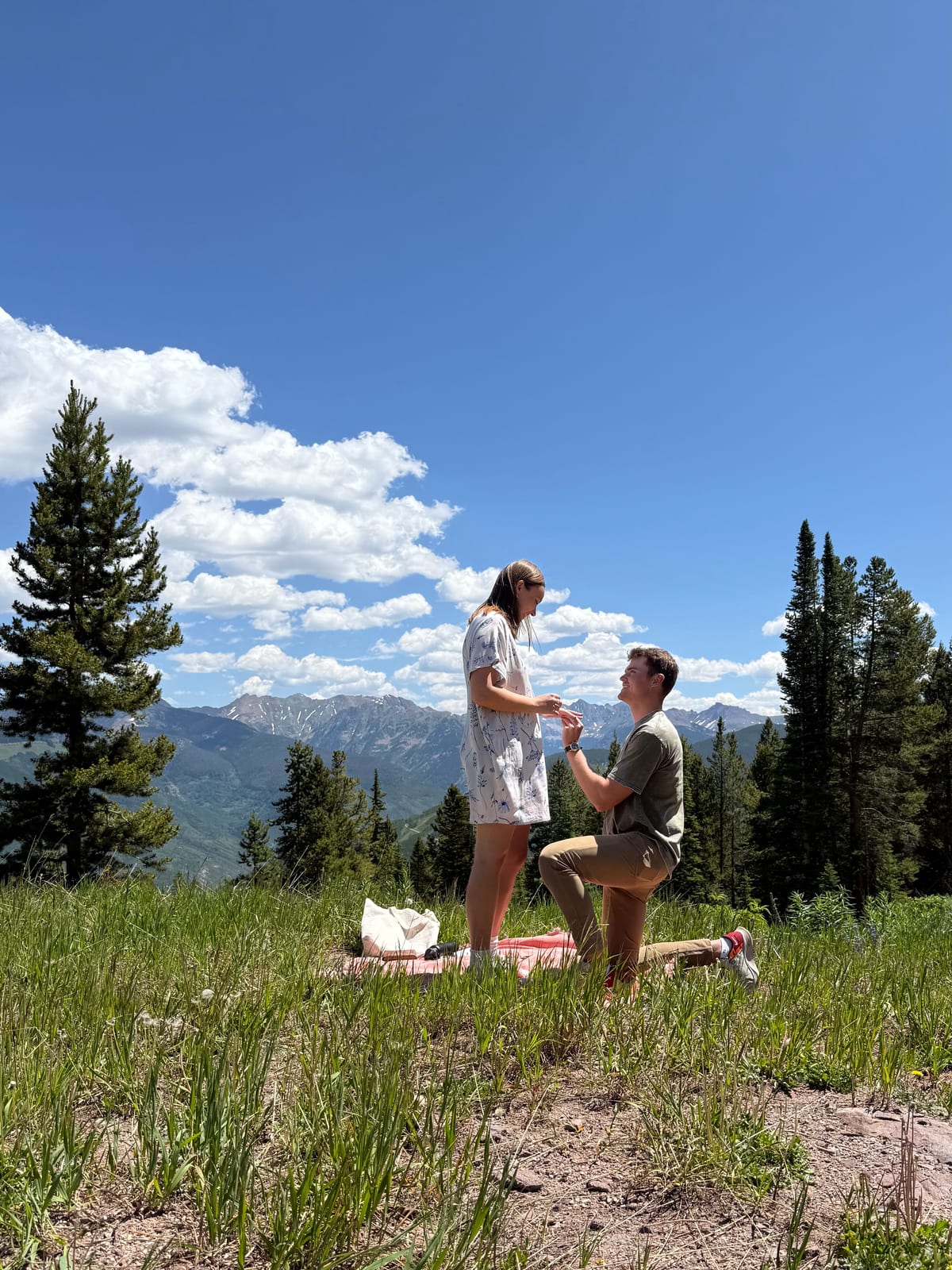 The proposal